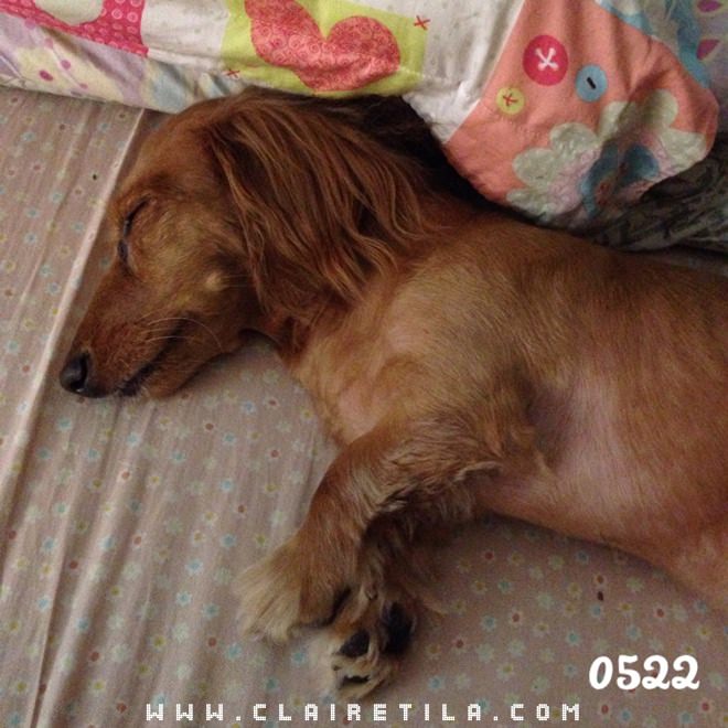 20251024-zw8y3 20251024-zw8y3