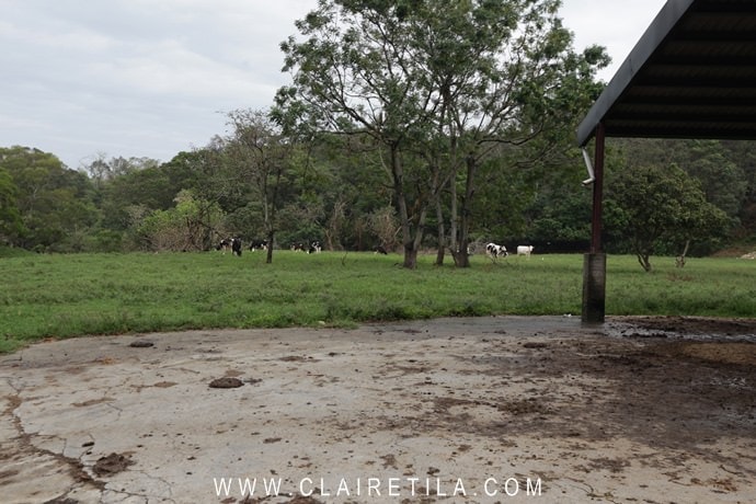 20251024-1p47r 20251024-1p47r