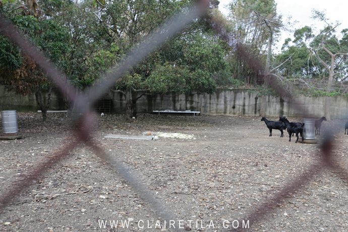 20251024-2yz30 20251024-2yz30