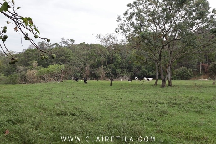 20251024-61iek 20251024-61iek