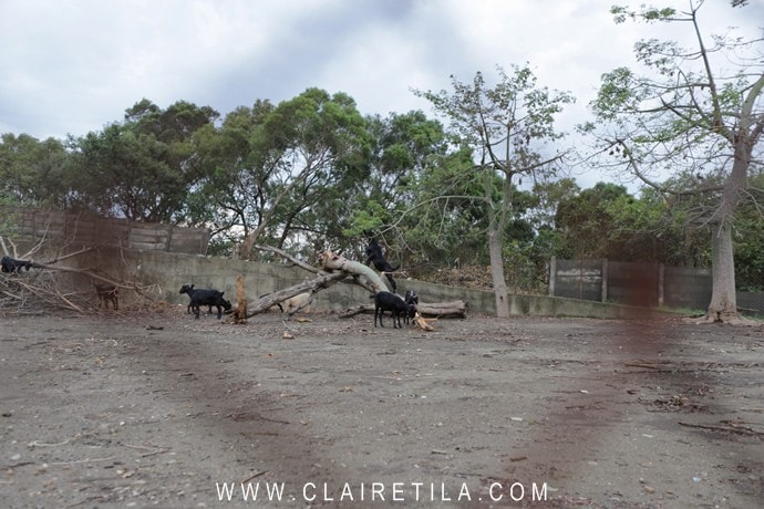 20251024-ihn62 20251024-ihn62