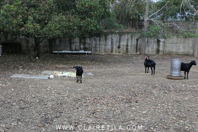 20251024-jzanl 20251024-jzanl