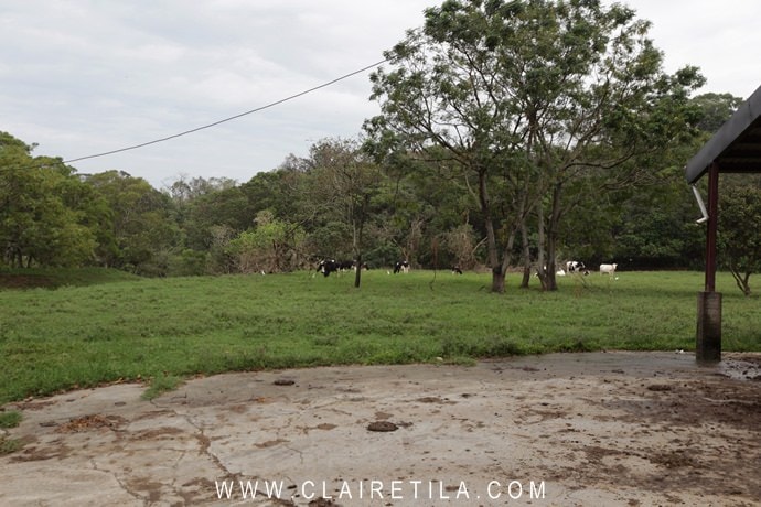 20251024-ngptm 20251024-ngptm