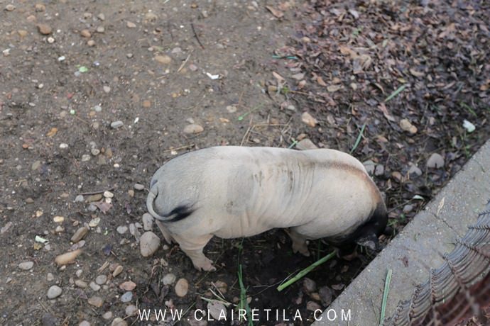 20251024-q0eu2 20251024-q0eu2