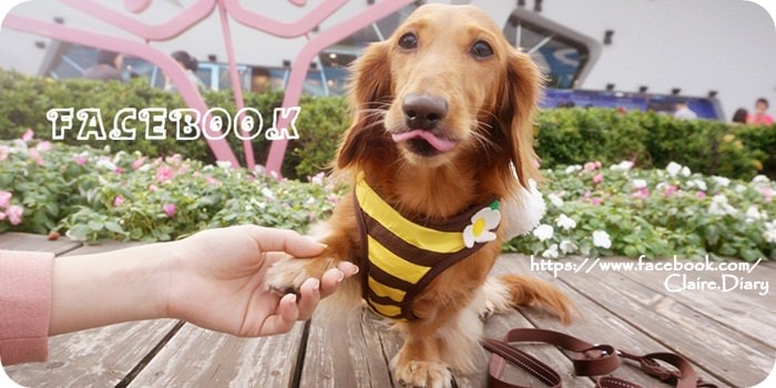 20251024-1fjll 20251024-1fjll