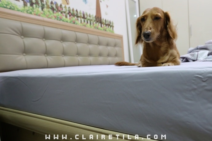 20251024-8lhj4 20251024-8lhj4