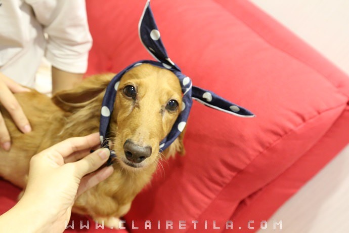 20251024-kpo9u 20251024-kpo9u