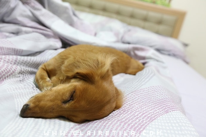 20251024-re0su 20251024-re0su