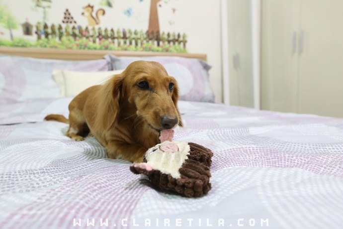 20251024-whb7f 20251024-whb7f