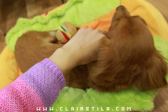 20251024-9oocy 20251024-9oocy