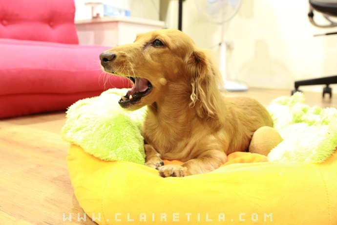 20251024-dxmcq 20251024-dxmcq