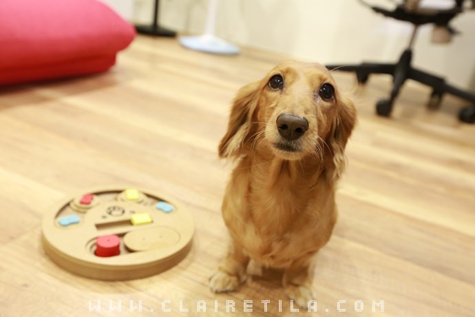 20251024-j5j4x 20251024-j5j4x