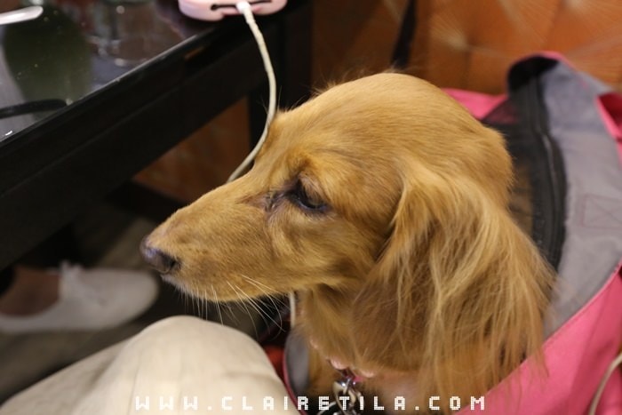 20251024-jtnd1 20251024-jtnd1