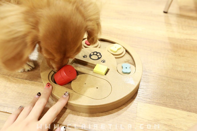 20251024-mej5y 20251024-mej5y