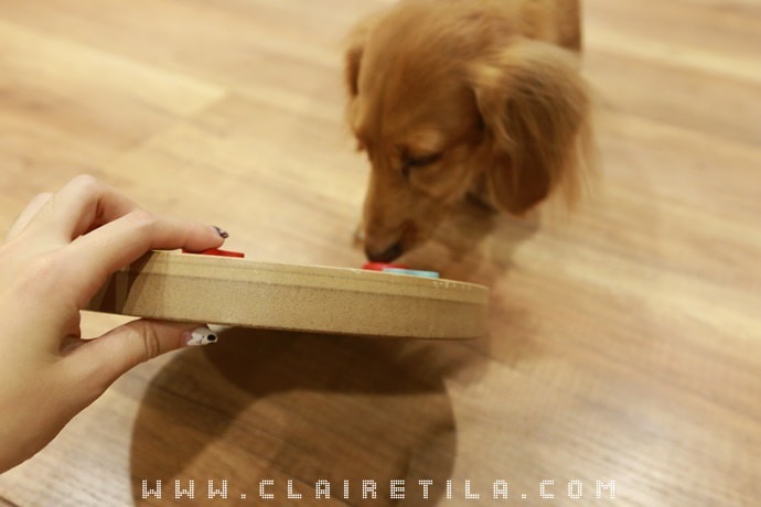 20251024-o36zo 20251024-o36zo