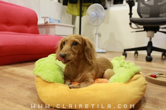 20251024-pmyqz 20251024-pmyqz