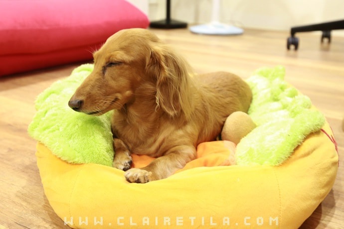 20251024-qpg6c 20251024-qpg6c