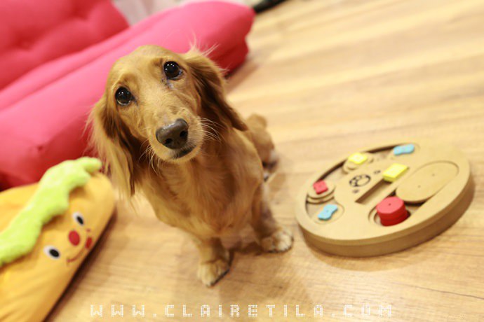 20251024-rl4k1 20251024-rl4k1