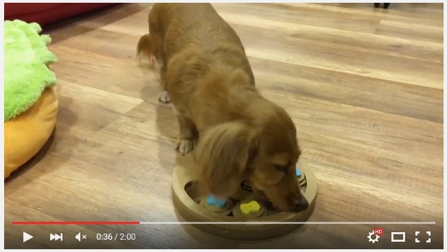 20251024-y4ljr 20251024-y4ljr