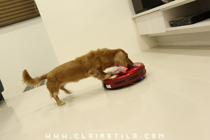 20251024-0y3v1 20251024-0y3v1