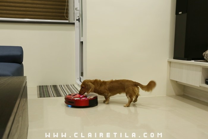 20251024-1zbt7 20251024-1zbt7