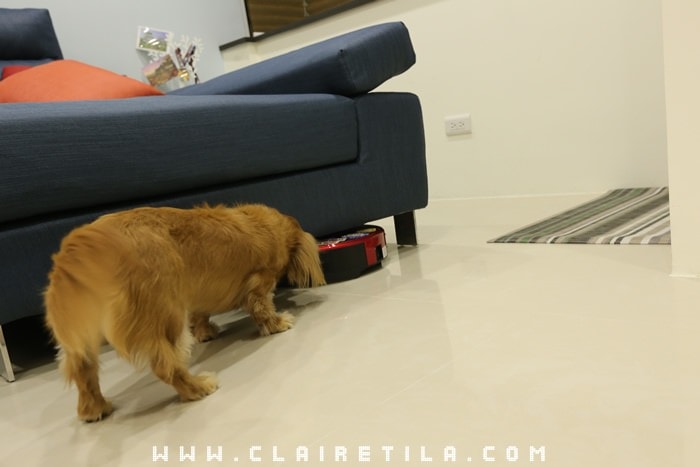 20251024-mej7t 20251024-mej7t