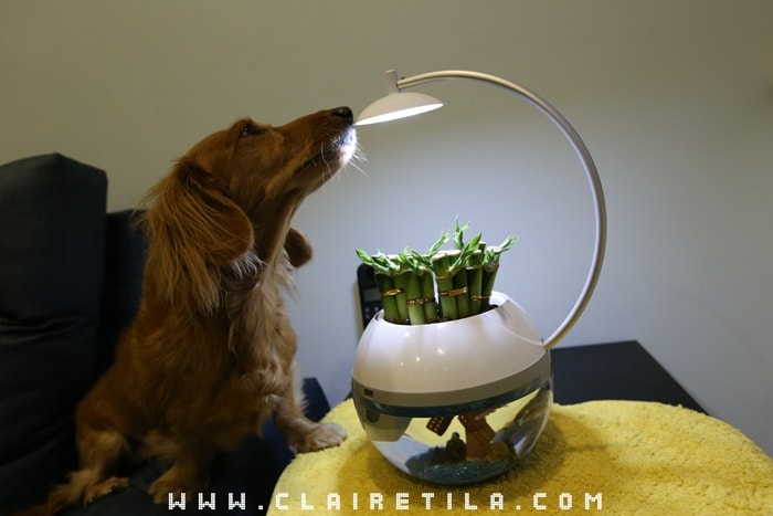 20251024-01xzc 20251024-01xzc