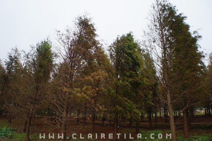 20251024-162uo 20251024-162uo