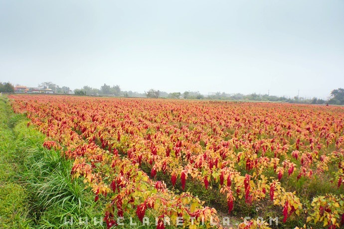 20251024-3lvq0 20251024-3lvq0