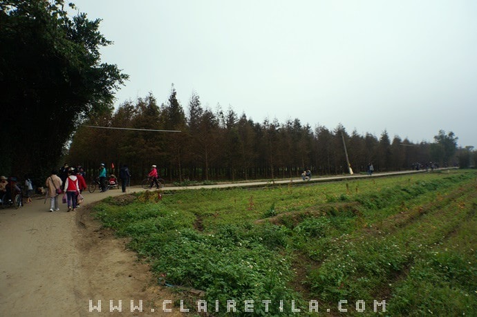 20251024-3z0vk 20251024-3z0vk