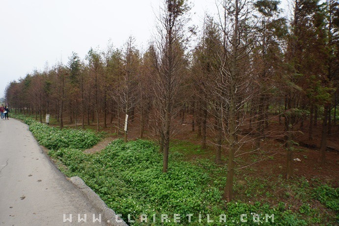 20251024-4gge2 20251024-4gge2