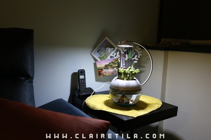 20251024-622od 20251024-622od