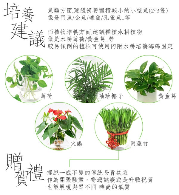 20251024-698gw 20251024-698gw