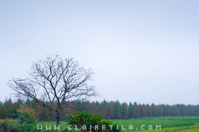 20251024-8fyym 20251024-8fyym