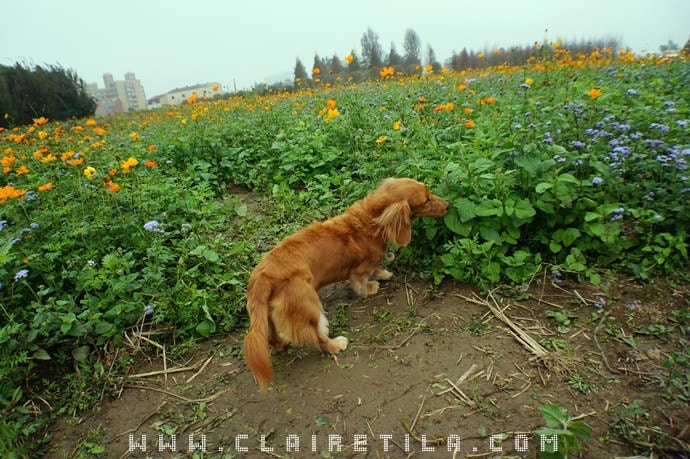 20251024-ad4g5 20251024-ad4g5