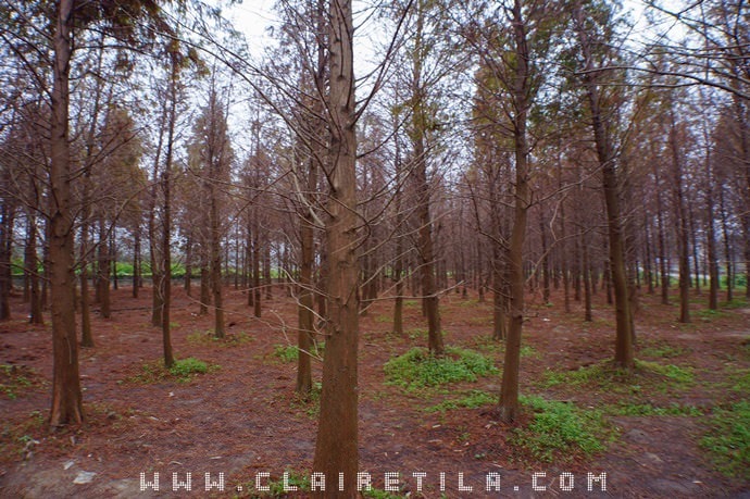 20251024-al9p6 20251024-al9p6