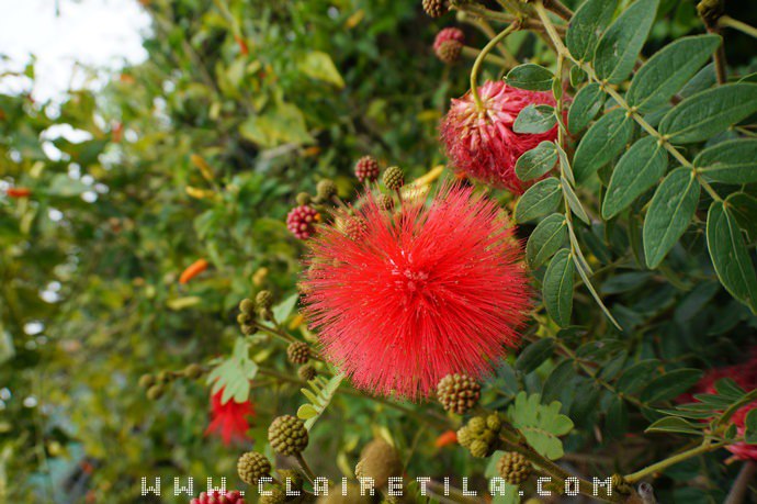 20251024-amxj2 20251024-amxj2