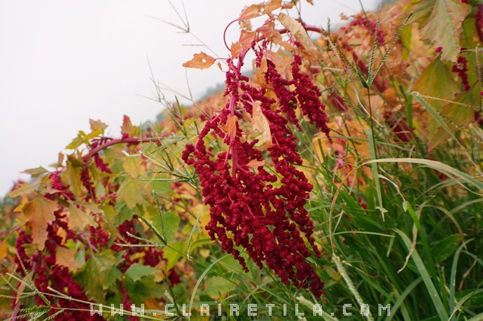 20251024-e4q89 20251024-e4q89