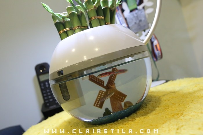 20251024-fj1ix 20251024-fj1ix