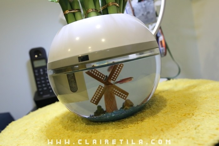 20251024-gncbk 20251024-gncbk