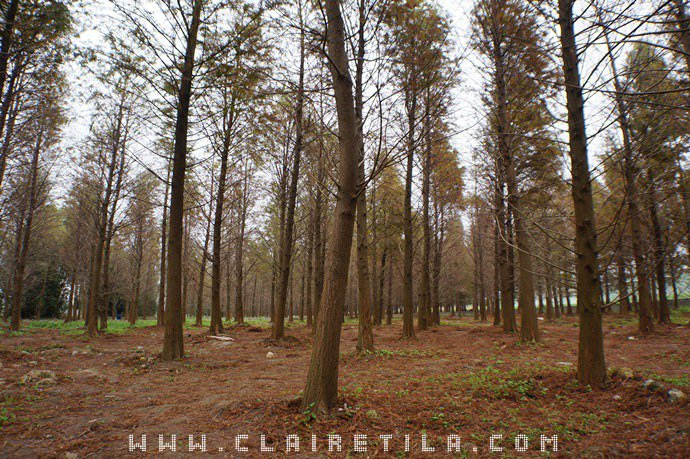 20251024-h50nm 20251024-h50nm