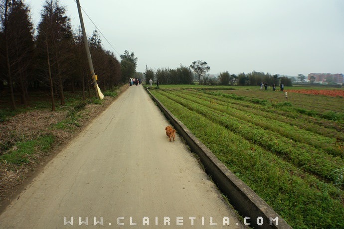 20251024-hp4z2 20251024-hp4z2