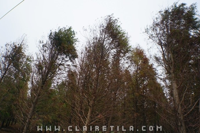 20251024-ip290 20251024-ip290