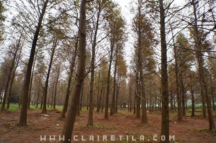 20251024-kg30v 20251024-kg30v