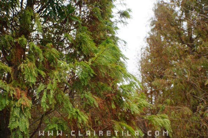 20251024-mpsz6 20251024-mpsz6