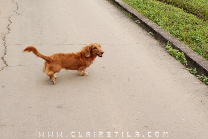 20251024-mrfip 20251024-mrfip