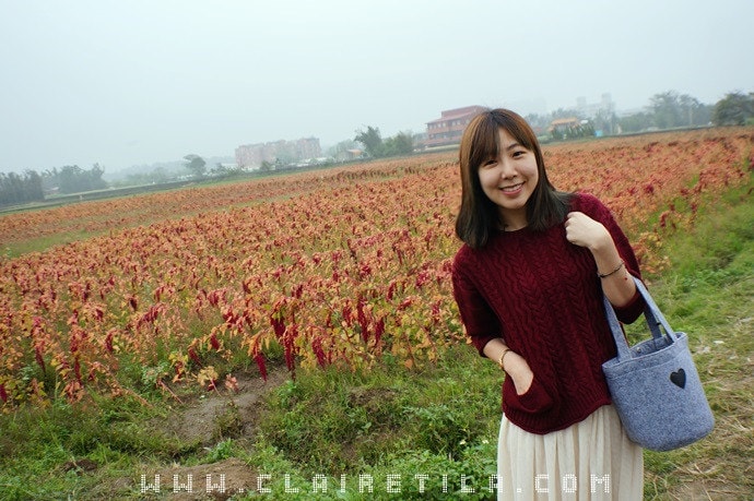 20251024-otiq6 20251024-otiq6