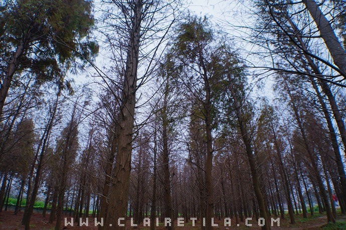 20251024-qknp8 20251024-qknp8