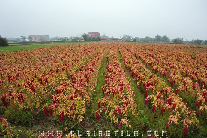 20251024-tycno 20251024-tycno