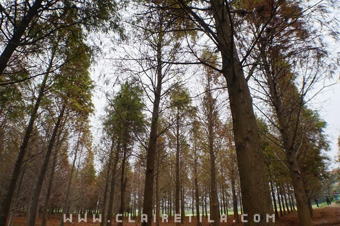 20251024-uhv85 20251024-uhv85